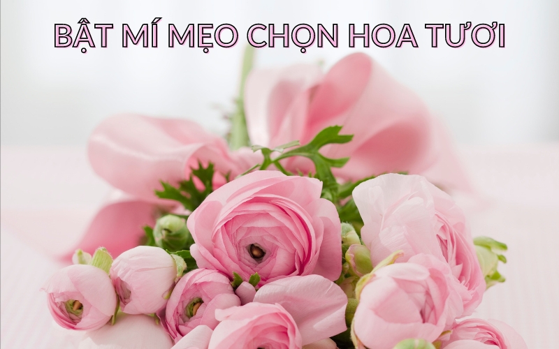 Mẹo chọn hoa tươi