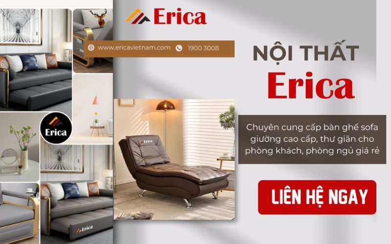 công ty erica việt nam