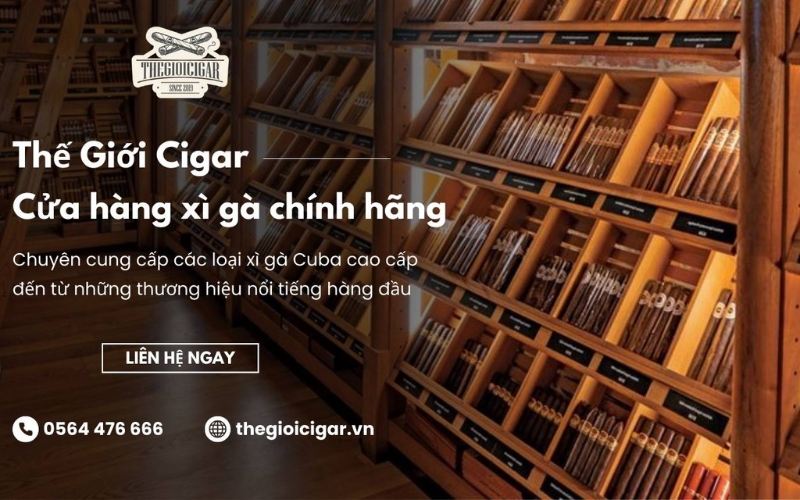 Thegioicigar cửa hàng xì gà cohiba chính hãng