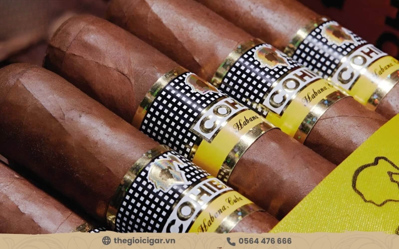 Giới thiệu về xì gà Siglo 6