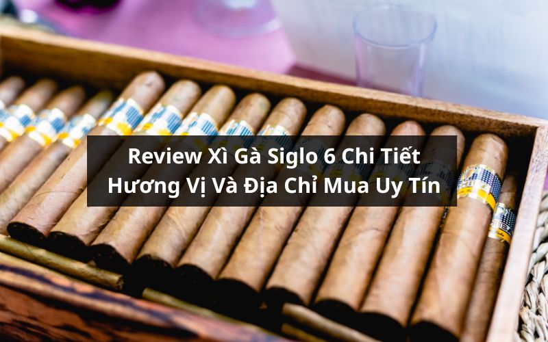 review xì gà siglo 6