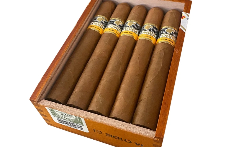 Review xì gà Siglo 6 về hình dáng