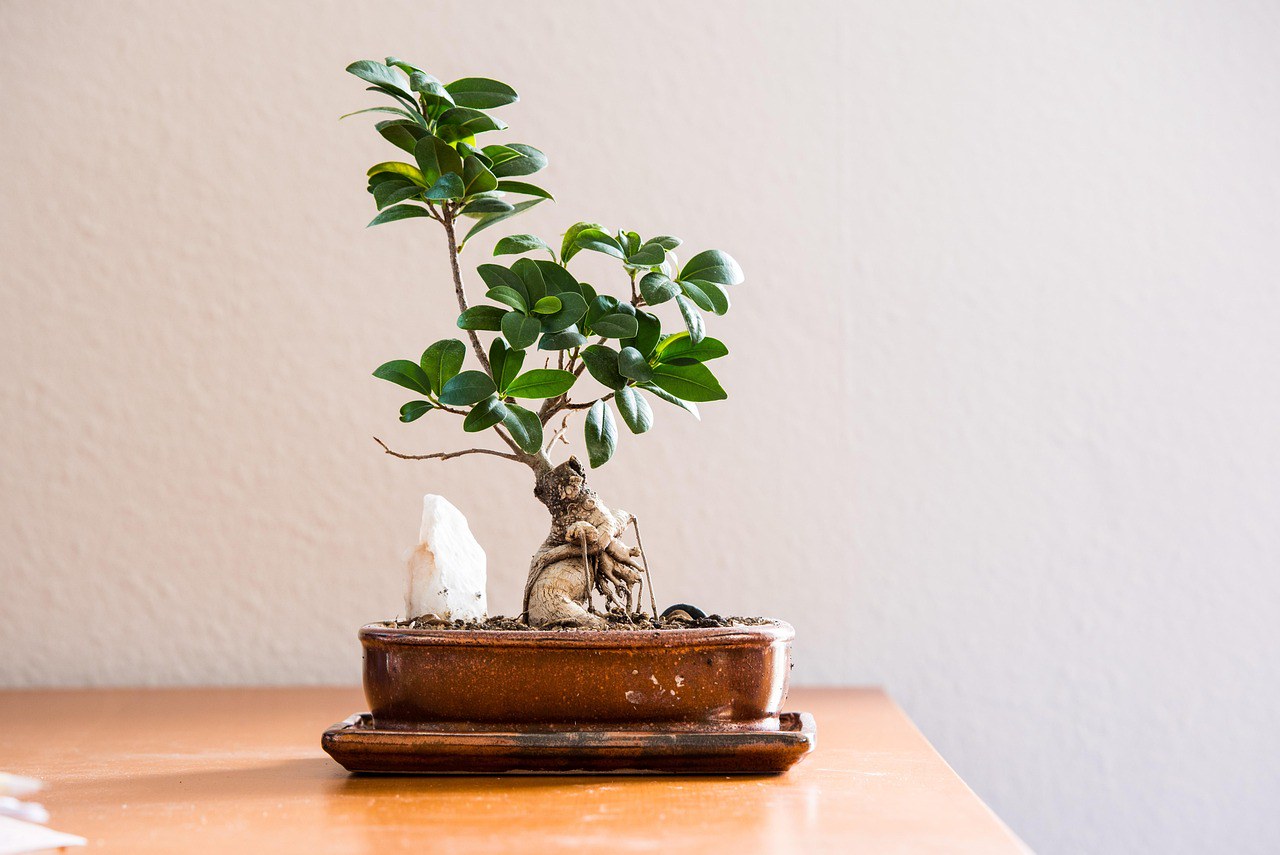 Giữ an toàn trong nhà cho người giảm trí nhớ